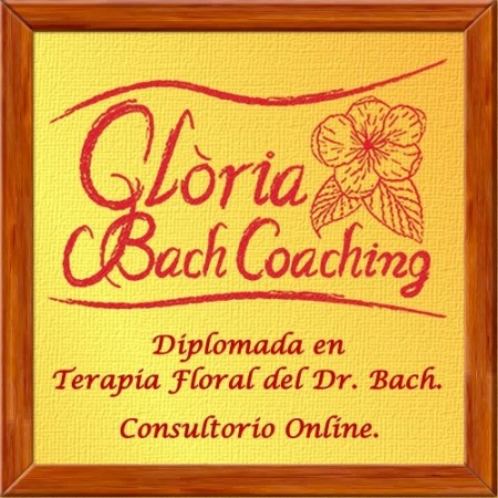 Glòria Bach Coaching - Consultori Online