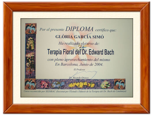 GBC_SHOP_Diploma_530x400.jpg